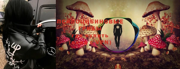 мдпв Майский