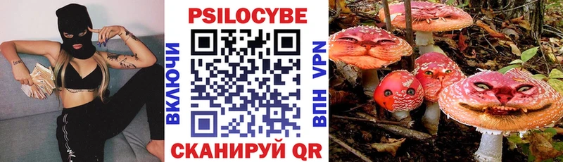 МЕГА маркетплейс  Тимашёвск  Галлюциногенные грибы мухоморы 
